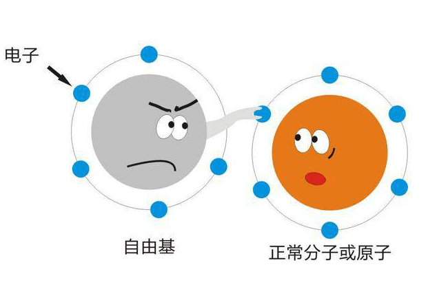 抗氧化是护肤界热门话题，怎样才能做到呢?