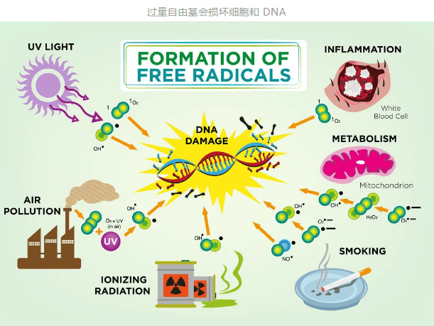 负氧离子