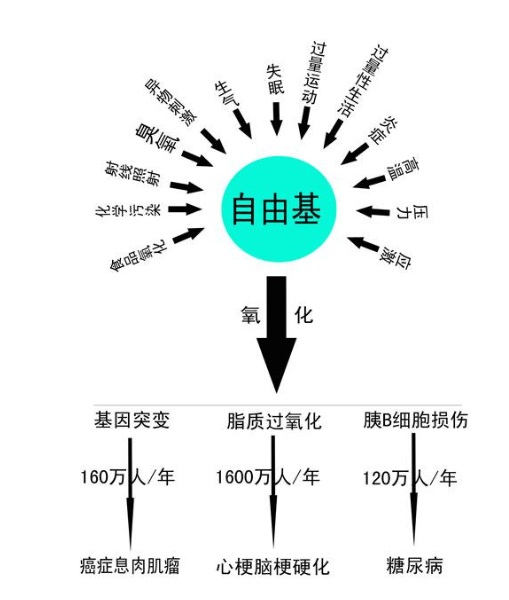 负氧离子