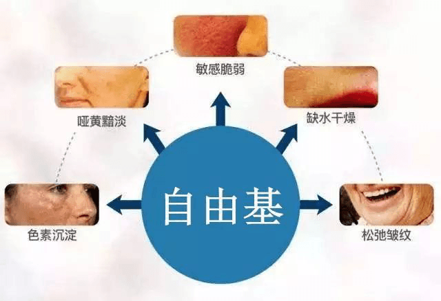 衰老的元凶是“自由基”，自由基的清除剂是“负氧离子”