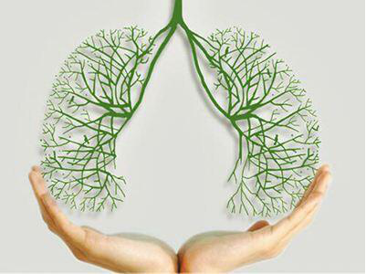 用空气负离子精心呵护我们的肺