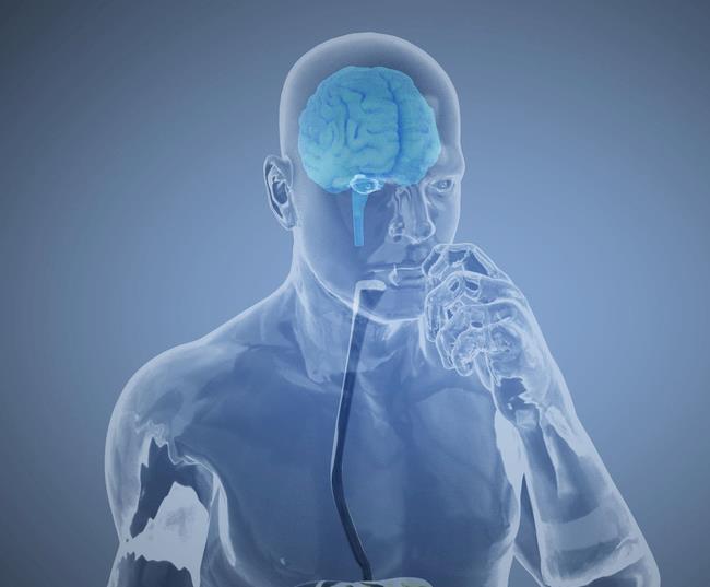 负氧离子还能改善心功能、消化功能,对造血内分泌系统有良好的作用 负氧离子还能改善心功能、消化功能,对造血内分泌系统有良好的作用