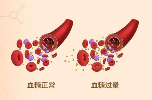 夏资强12 8任务一1306