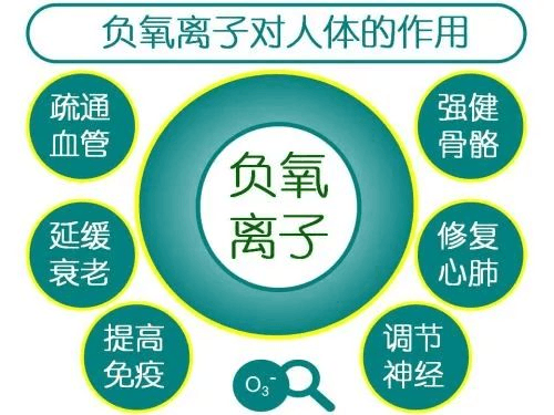 夏资强8 10任务二887