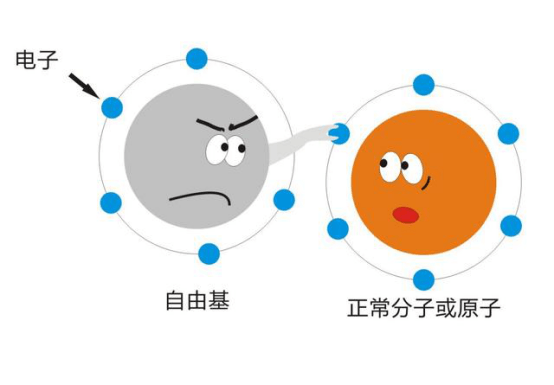 李伟822任务三(1)331