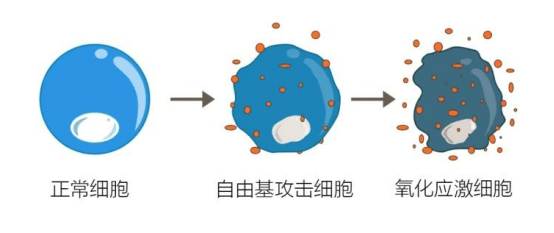 李伟822任务三(1)985