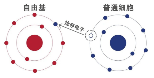 李伟822任务三(1)818