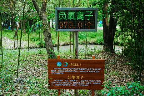 夏资强8 26任务一376