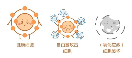 夏资强10  21任务三768